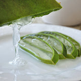 Aloe Vera Gel | Nubian Botanicals